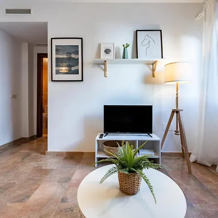Malagasuite La Nogalera Holidays Apartment *